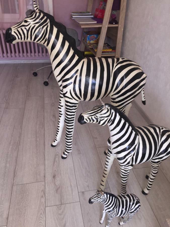 Вилла Au Pres Du Zoo Сент-Эньян Экстерьер фото
